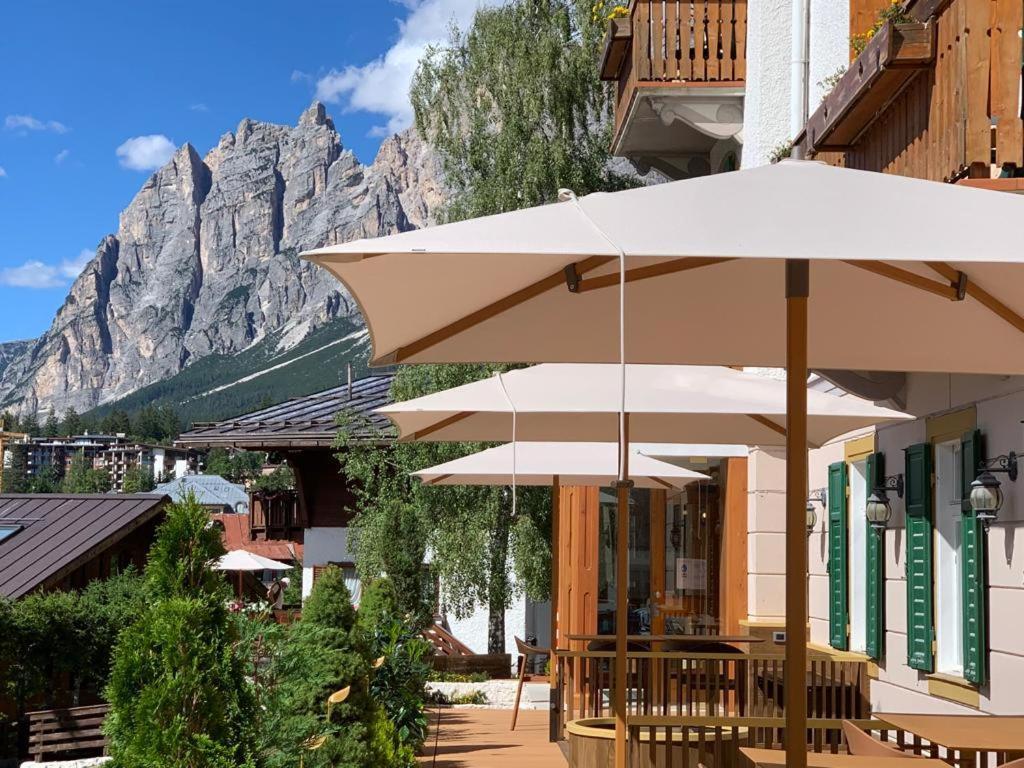 Hotel Serena Cortina Cortina dʼAmpezzo Exteriör bild
