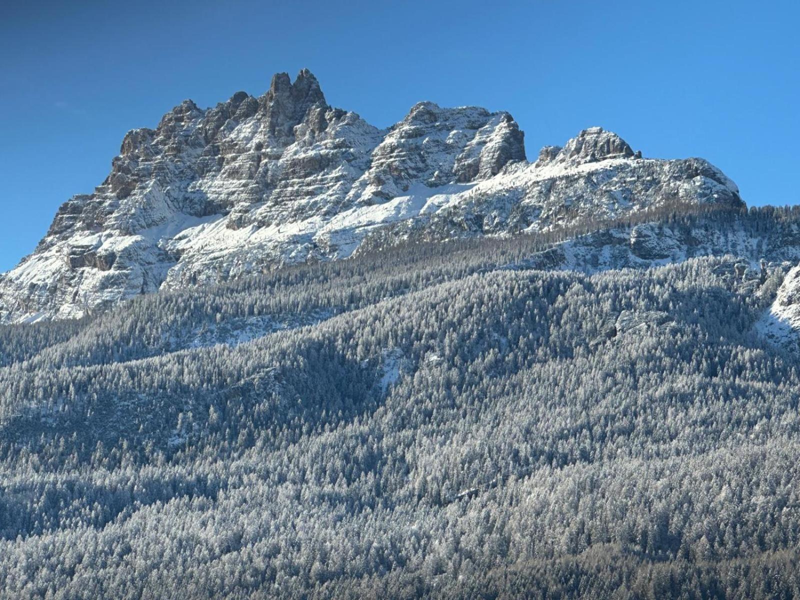 Hotel Serena Cortina Cortina dʼAmpezzo Exteriör bild